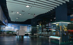 海科館長「高分貝」飆罵下屬！教育部公布調查結果：記大過、送監察院