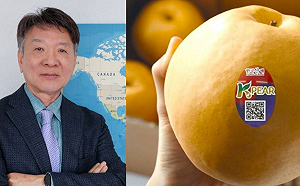 不只韓團攻台 韓國梨貼防偽標籤搶佔台灣水果市場