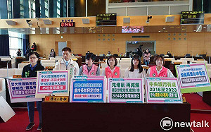 上媒體發言黨務多於市政 綠營建議盧秀燕乾脆揪蔡壁如拍宣傳照