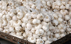 大蒜作夢也沒想到! 美議員籲發起301調查 北京 : 這也會威脅到美國安全?