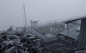 冷氣團襲清晨低溫零下2.4度  玉山降霜與霧淞美景曝