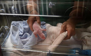 法國首度誕生雙胞胎貓熊 1隻夭折