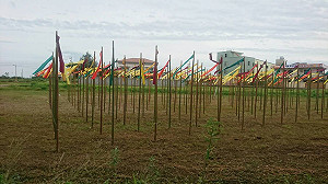 走過才知桃花源  漫歩楊梅壢藝文風景