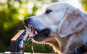 台北又飆高溫 鄭明典：會熱7天