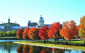 擴增國際視野  加拿大度假打工增200名額