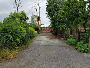 空中瀰漫豬屎味  村民要求還乾淨空氣