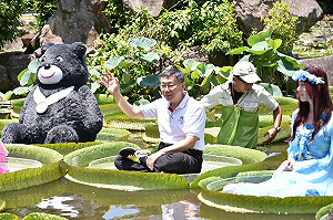 八風吹不動  柯P穩坐大王蓮合照古裝妹