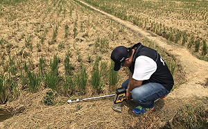 係金乀！桃園農地遭重金屬污染4.5公頃