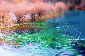 不讓天災留憾！《劍俠情緣叁》將重現九寨溝美景