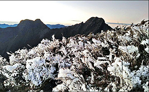 大陸冷氣團發威！玉山氣象站「霜淞遍佈」氣象署：比霧淞更難得