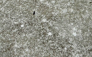 追雪去！強冷空氣週五深夜報到  賈新興：玉山有望降雪