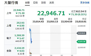 台股開盤》紅翻黑 分析師：內資當家、台積成外資控盤、回測23000點