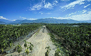 大武山下的詩意家園 屏東龍泉村吸引退休人士定居養生