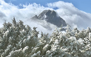 冷氣團來襲  玉山氣溫-5.4度探新低！霧淞銀白仙境畫面曝光