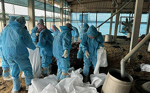 今年首例！雲林爆禽流感疫情 防疫所急撲殺5000隻土雞