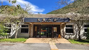 櫻花季住宿少一處!武陵山莊元旦起整修