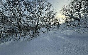 小心「粉雪」致命！陸人日本滑雪死亡 網提醒這「夢幻雪質」很危險