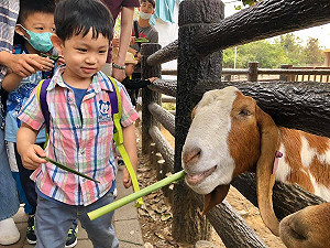跨年狂歡後何處去?高市觀光局推元旦一日遊程攻略