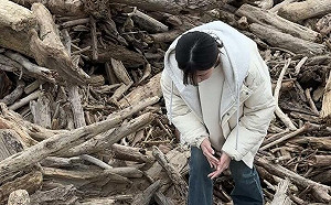 濁水溪流域貴重漂流木開放撿拾！林保署：限設籍3縣市居民可撿