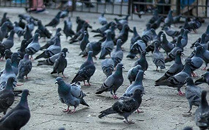 旅遊民眾注意了！南韓首爾「兩新規」明年施行