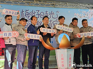 桃園角板山梅花季開跑 白天賞梅、晚間賞桃園燈會