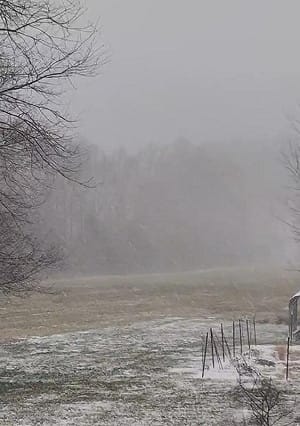 FEMA發警示 拒用「冰」字避誤會ICE