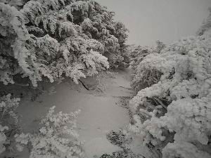 追雪族注意!玉山降雪近30分鐘 專家:今日還有機會再降雪