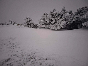 下週天氣一圖看!冷氣團週二南下急凍三天  有望再降雪