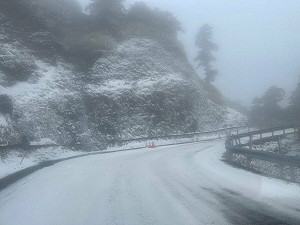 全台急凍!合歡山高海拔地區成雪國 台14甲線夜間封閉