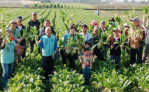 美濃掃市場、拔蘿蔔搏感情    林岱樺獲近全數里長支持