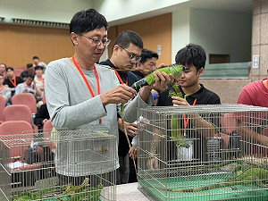 為去年3倍!綠鬣蜥移除破3.6萬 林保署點名關鍵利器