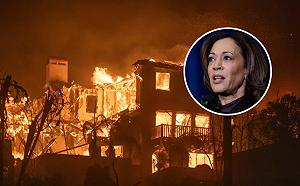 (影) 加州大火蔓延動態過程曝光！死亡飆升至24人 連賀錦麗家也遭殃 