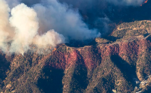 (影) 洛杉磯山火曝陰謀論！縱火傳言甚囂塵上 近30人扮消防員行竊、鬧事被捕