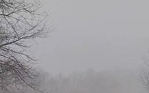 FEMA發警示 拒用「冰」字避誤會ICE