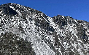 喜迎瑞雪!雪霸國家公園主峰步道積雪「15公分」