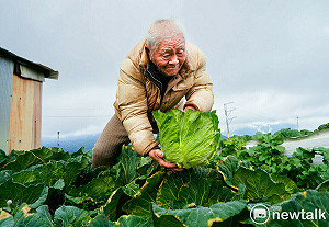 最初的拓荒者 102歲老榮民還能種菜騎車見證50多年來榮民在大梨山地區開墾山林的一頁