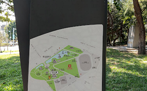 嚇哭!新竹公園散步驚見斷頭貓屍  動保所:尚無人為虐殺證據
