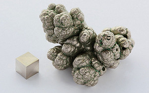 破解中國礦產霸權　美國發展出以植物吸收金屬技術