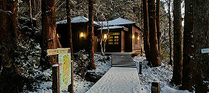 低溫零下2度!太平山園區成超美銀白世界 古道染厚厚糖霜