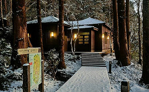 低溫零下2度!太平山園區成超美銀白世界 古道染厚厚糖霜