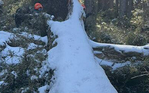 搜救進入第3天!新竹縣大霸尖山傳登山女山友失聯 降雪增搜救難度