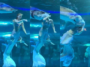 美人魚表演遭後方巨魚吞頭! 中國水族館塞3千元「精神賠償」封口