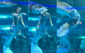 美人魚表演遭後方巨魚吞頭! 中國水族館塞3千元「精神賠償」封口