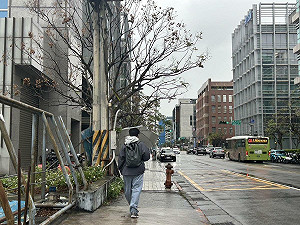 苗栗、高雄低溫特報!今北部陰雨「第3波寒流」來襲 明起氣溫驟降