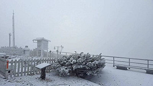(影)全台最冷!玉山北峰午後持續降雪 積雪超過1公分
