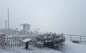 (影)全台最冷!玉山北峰午後持續降雪 積雪超過1公分