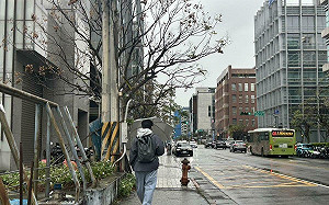 強烈冷氣團冷到週四!北台降到9度 專家:今晚高山有望降雪
