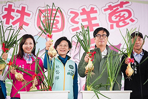 林園洋蔥節盛大登場  林岱樺提願景獲在地里長支持