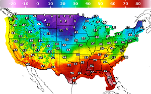 美國將遭今冬最冷極地渦旋侵襲 均溫下看攝氏-10度