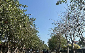 大陸冷氣團減弱！西半部高溫上看26度  專家：週四入夜還有冷氣團